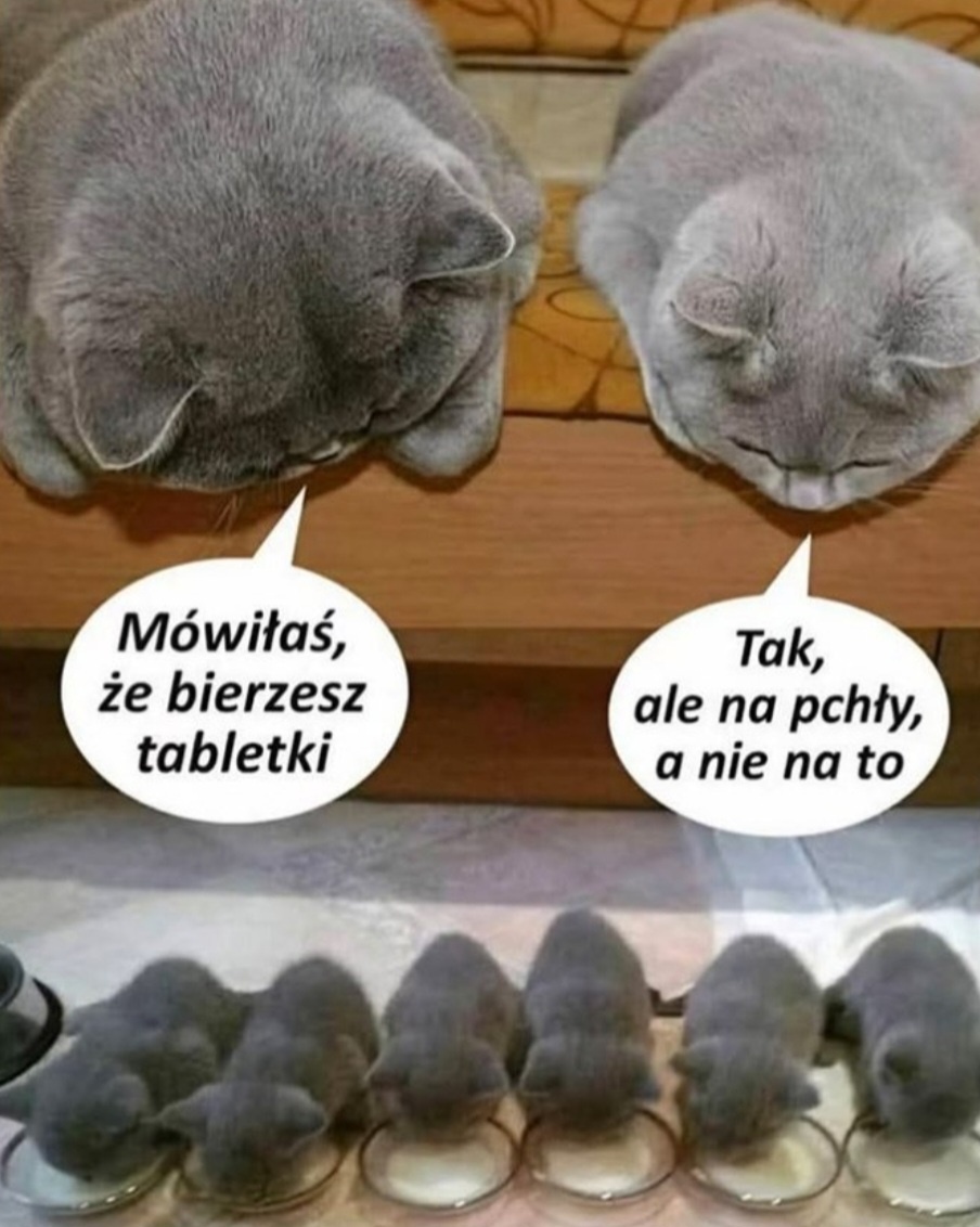 114bea02-004c-4db9-9064-70db601e076e