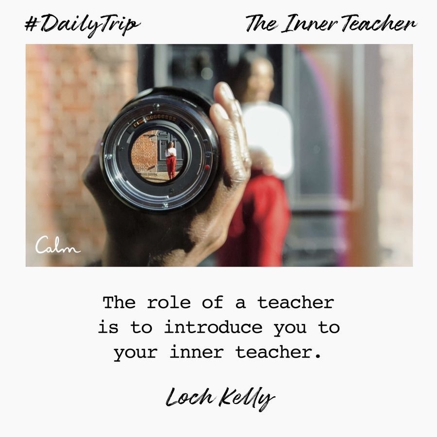 f8bfa16f-570c-4c85-b81d-2c81c149c1fe