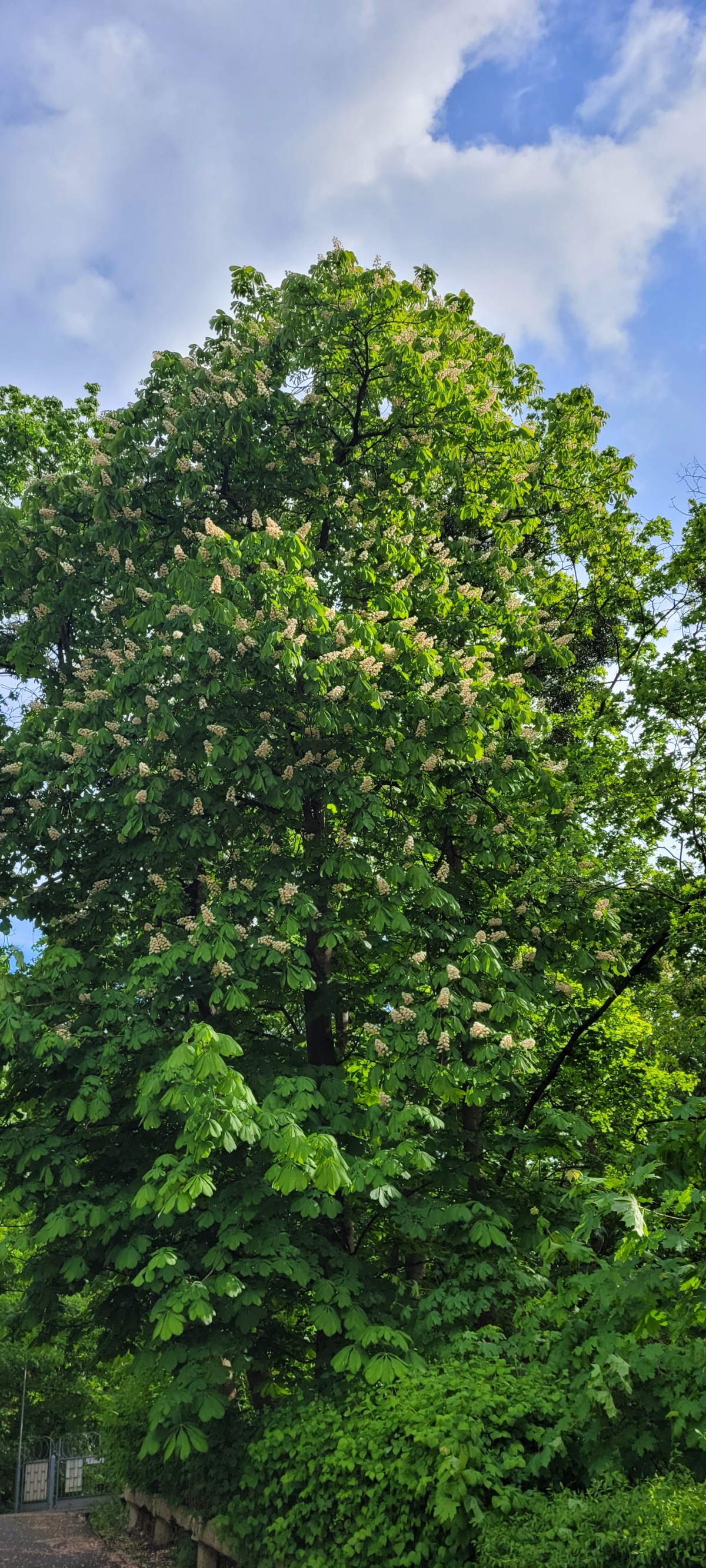 91048437-9a36-45d0-9bd6-ec3ded914d69