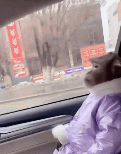 154bb6c3-6648-4890-a686-f6d25cd5d775