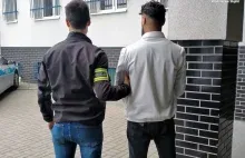 Opaleni przybysze chcieli porwać 14-latkę w Wodzisławiu Śląskim