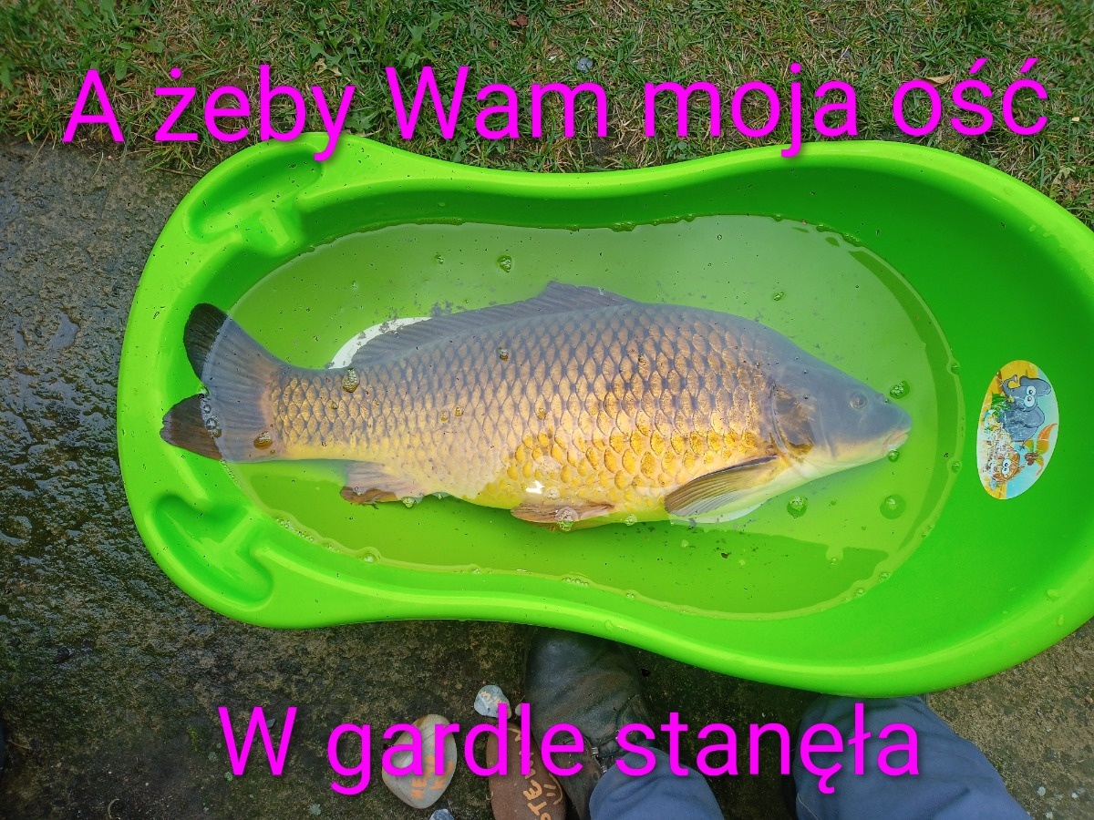 6997b831-fcdd-4a53-ab69-d02c7d05997e