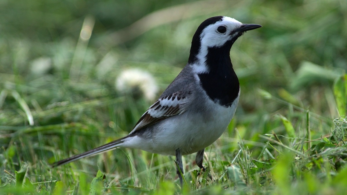 f0134a2a-a1d7-42b5-b35d-645f1ba9fd6a