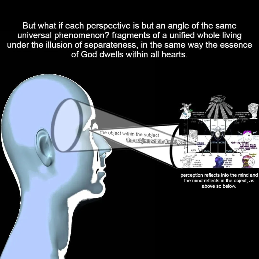 8d8a4491-4931-4a54-b37f-1588f6e76333