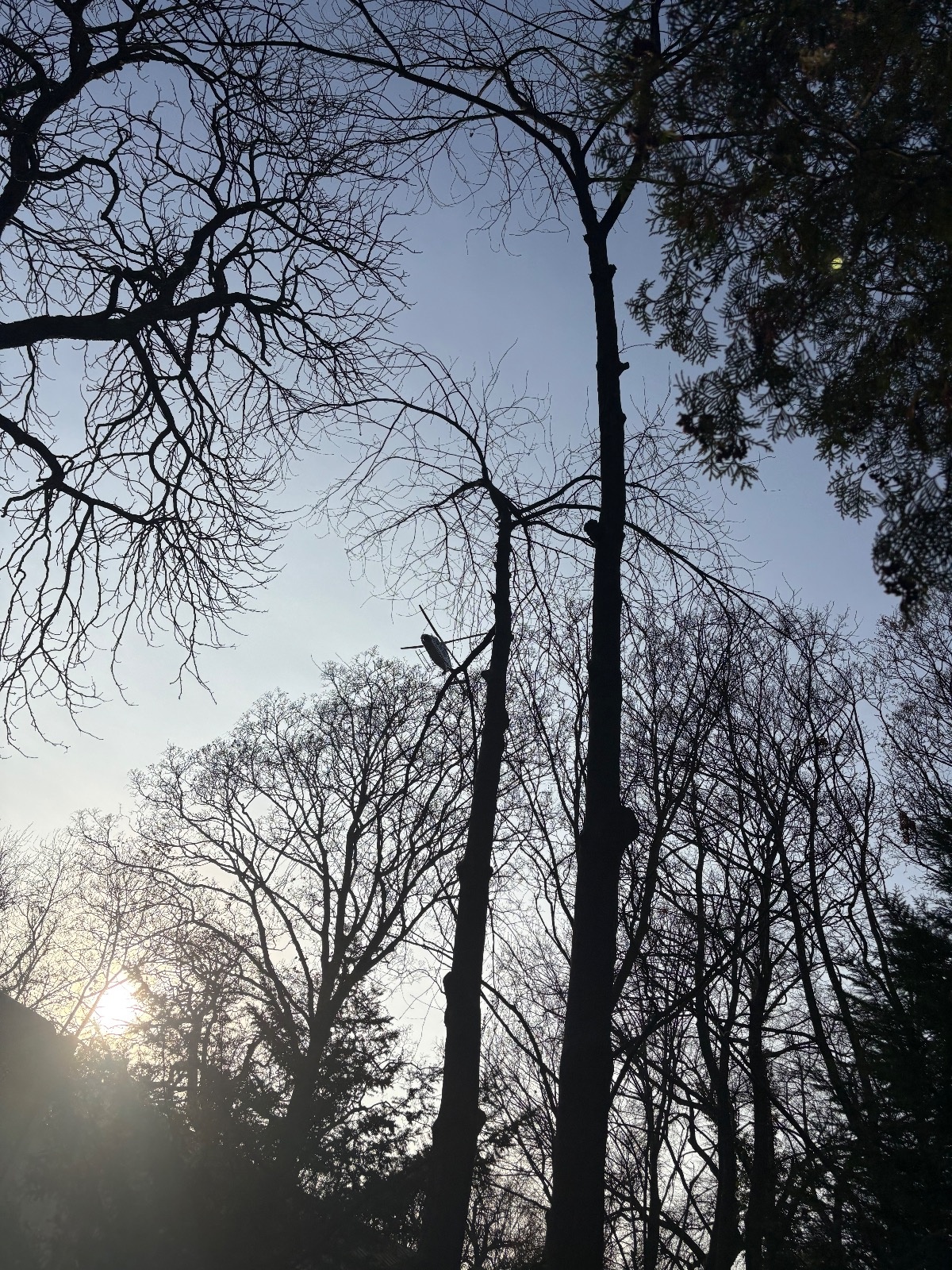 46a355c9-0a17-444c-a105-e56093665c90