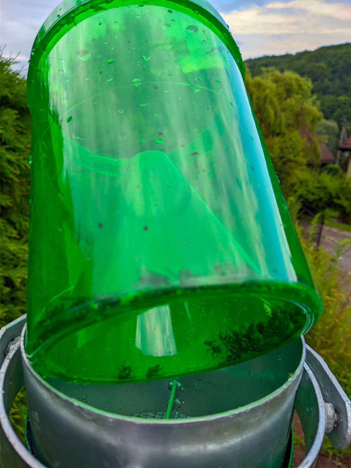 c8d82b0f-bc91-4793-8199-2d329e46e4c5