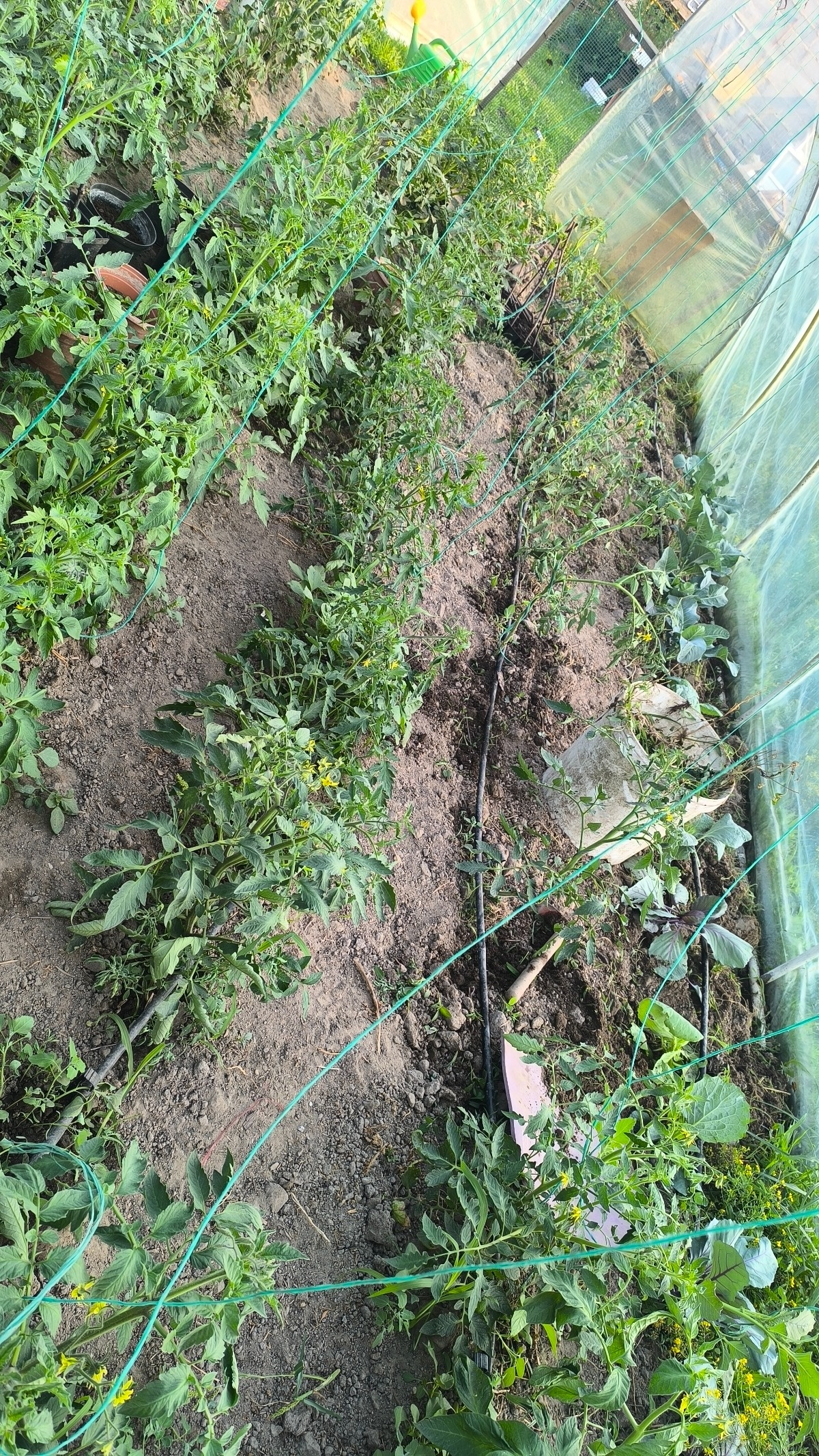 b217f7ce-d52f-4a4b-9144-e0012aaa2e58