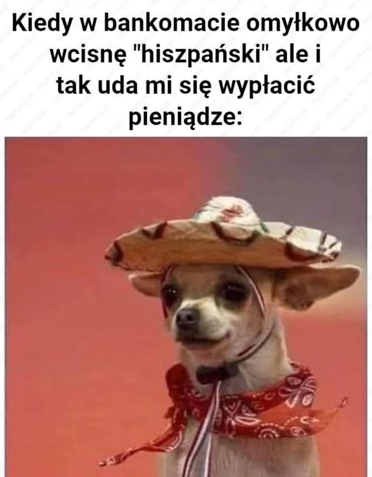 117b7398-fb85-4c5a-a8a9-81207f7bcef3