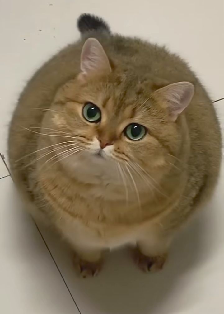 7eff4b3a-81ea-4886-9531-589a7c4be0c1