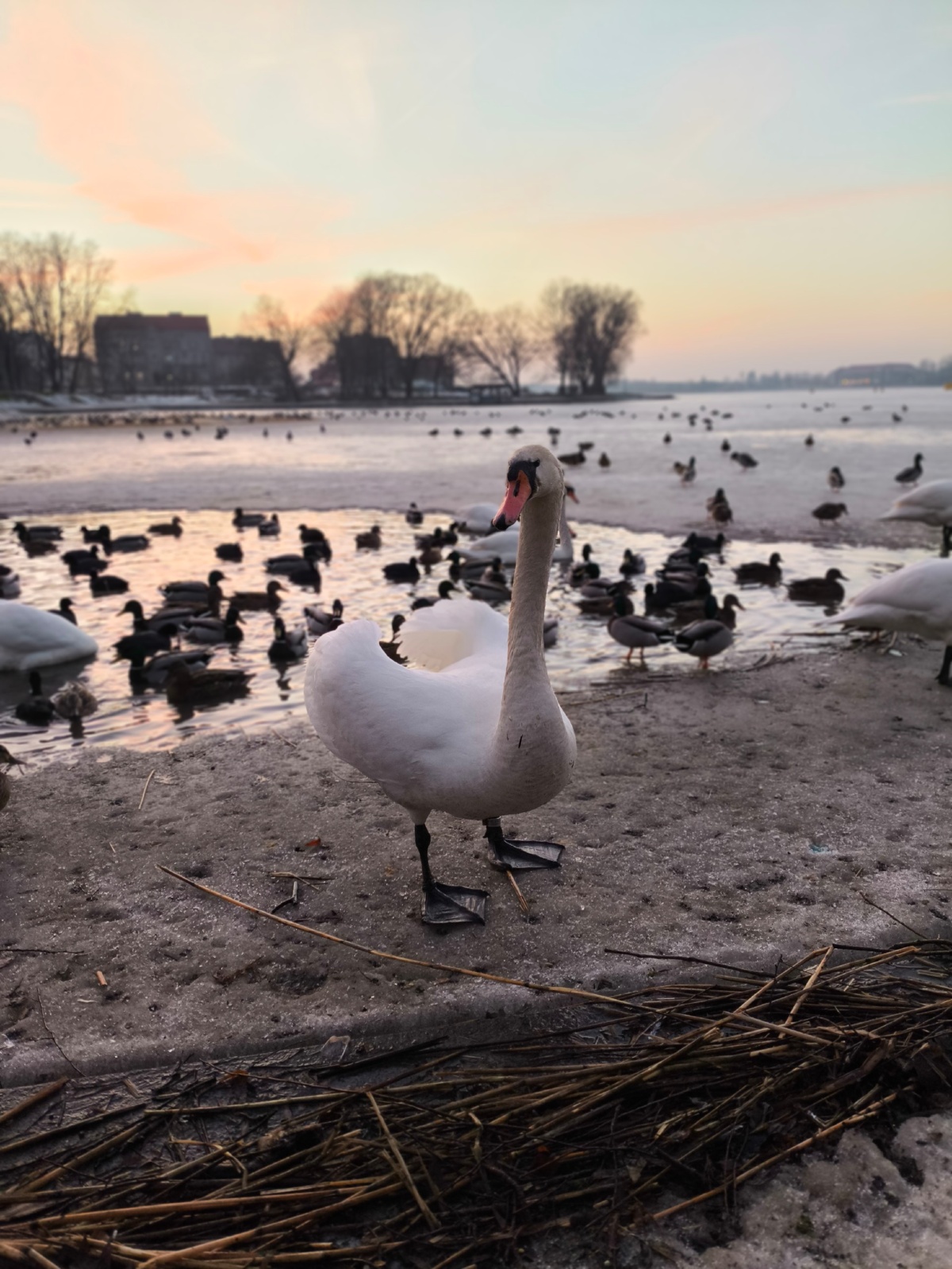 ef50a1c9-0ecf-4390-bd7c-5a77a0dbd2aa