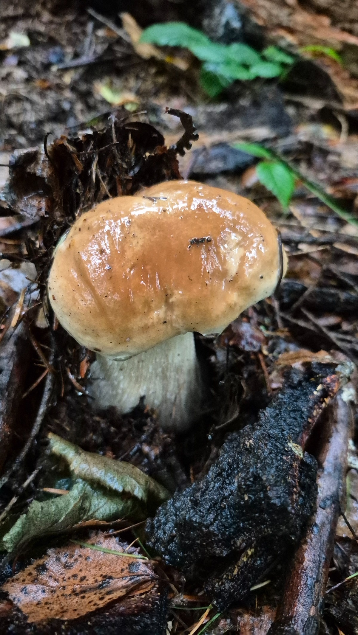 0d023303-84e7-4bf1-b07a-e1307d2ba655