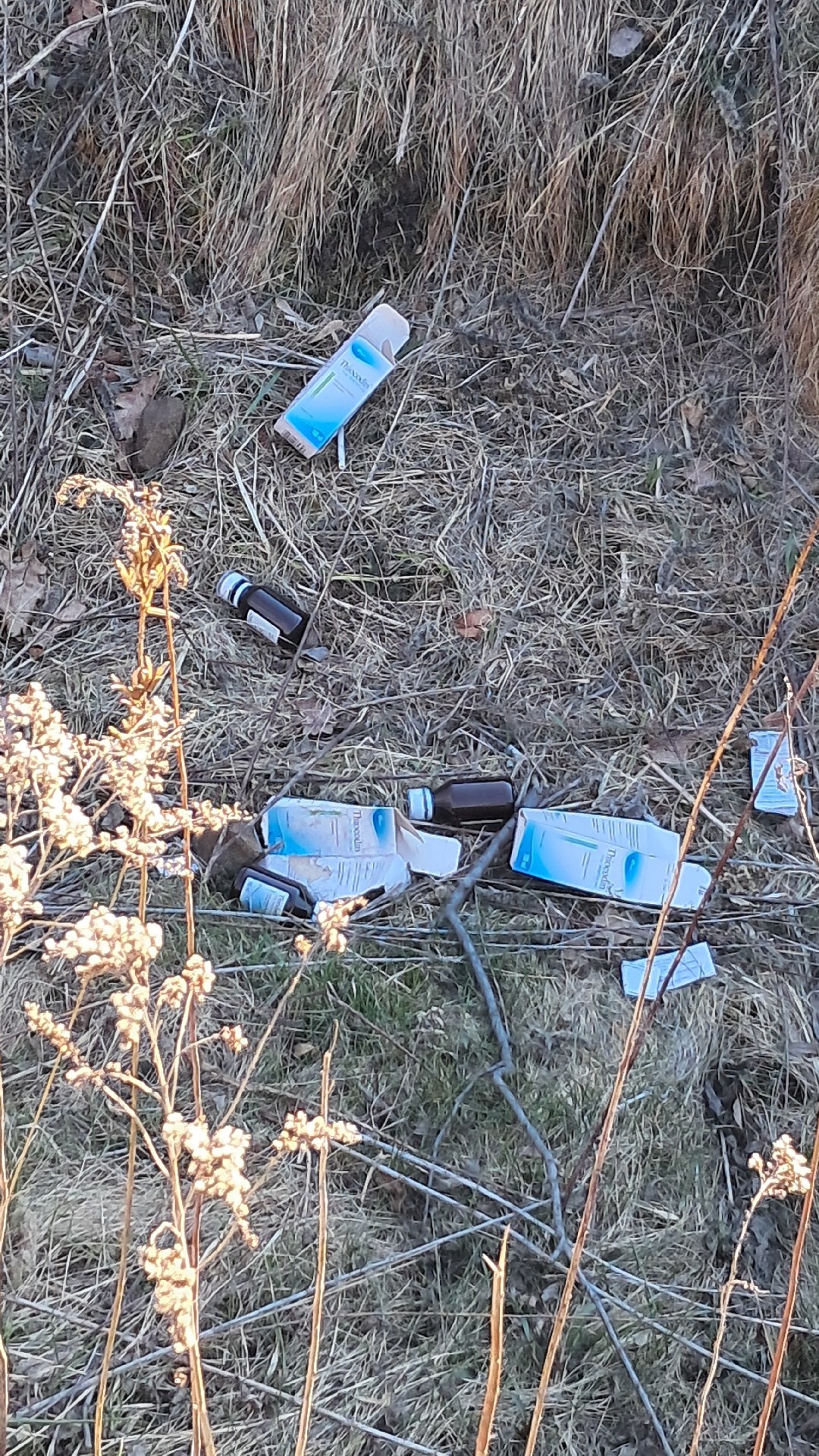 63a0ac1c-f2a5-4689-aef7-2c6ad8c4ccf1