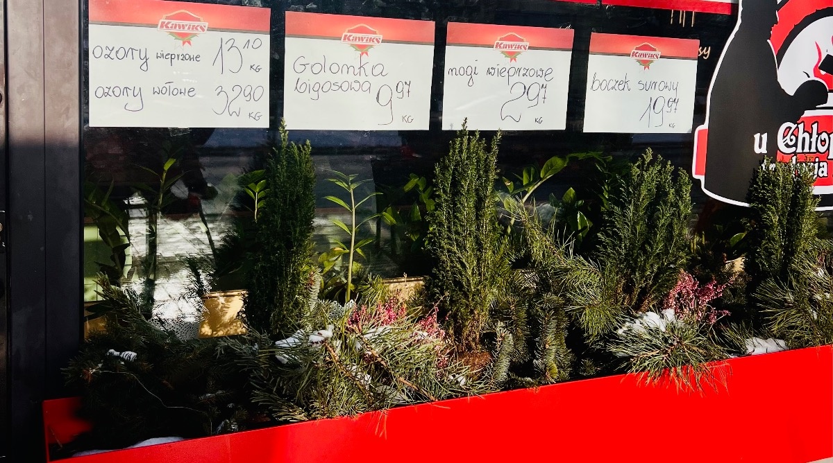 0ce55220-2d95-4bfd-8c9f-61730f88b398