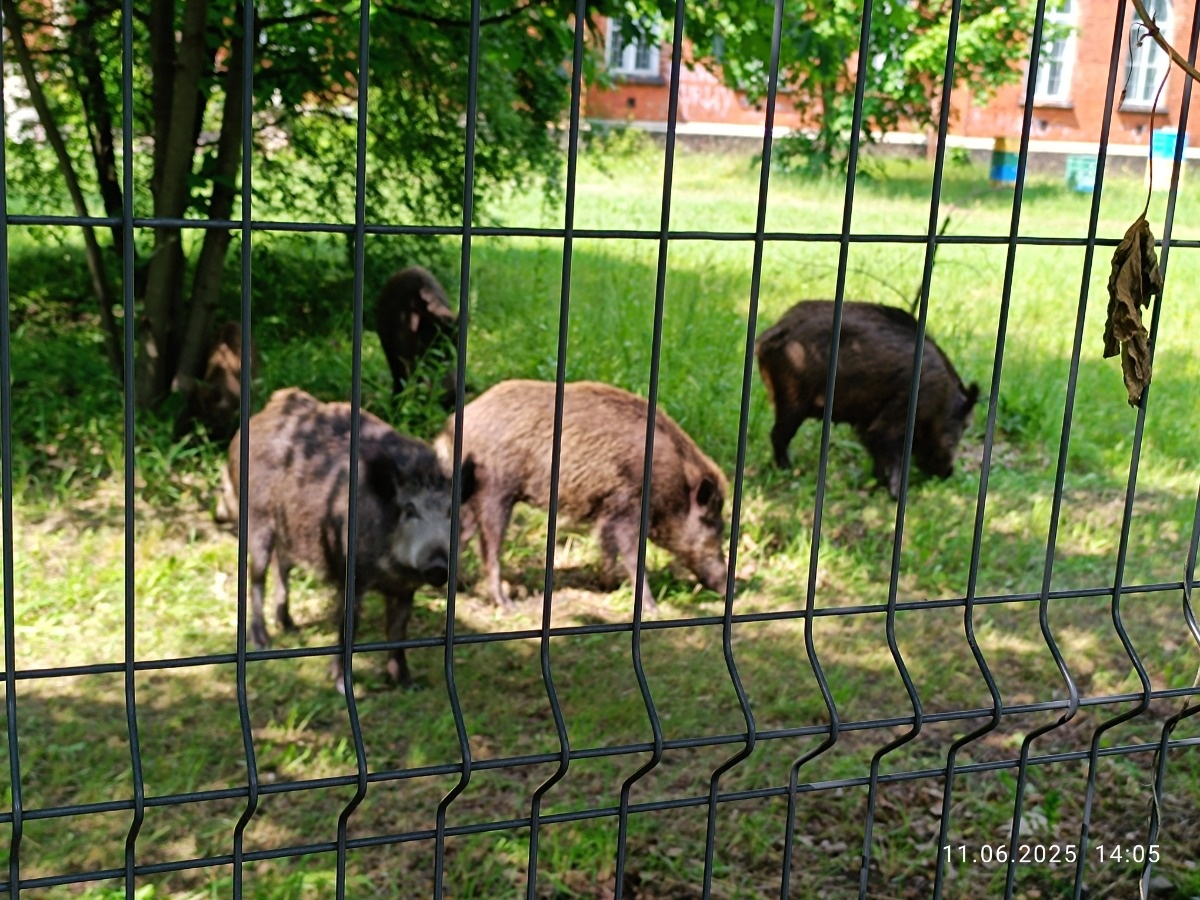 39ce4943-0b16-47b6-b0a2-05de7f24136c