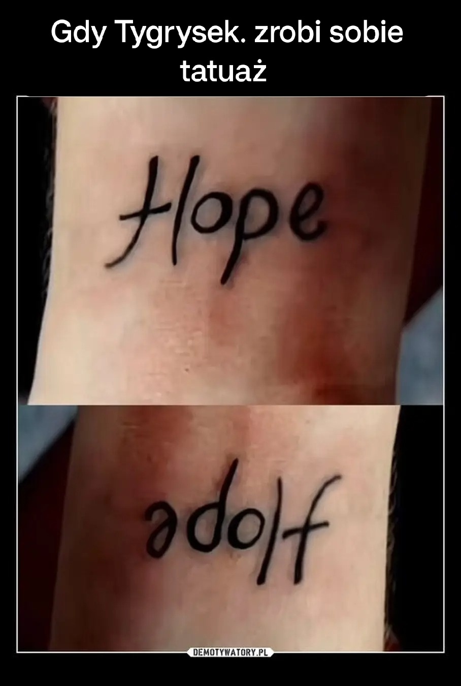 53ff9487-c107-45ff-95e4-b308f8ba99b1