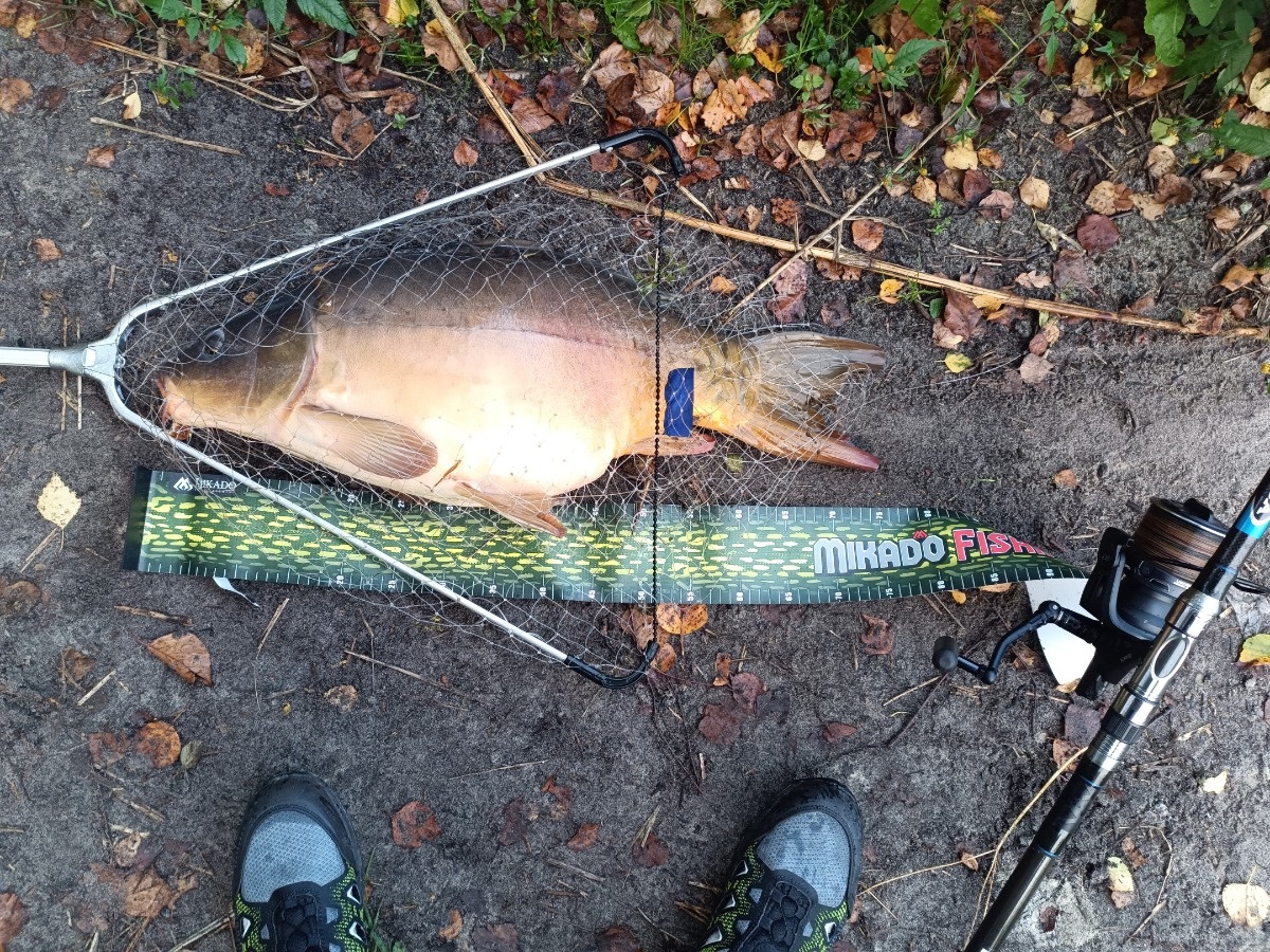 c4e6e634-c226-4d82-91ce-def24e067ff7