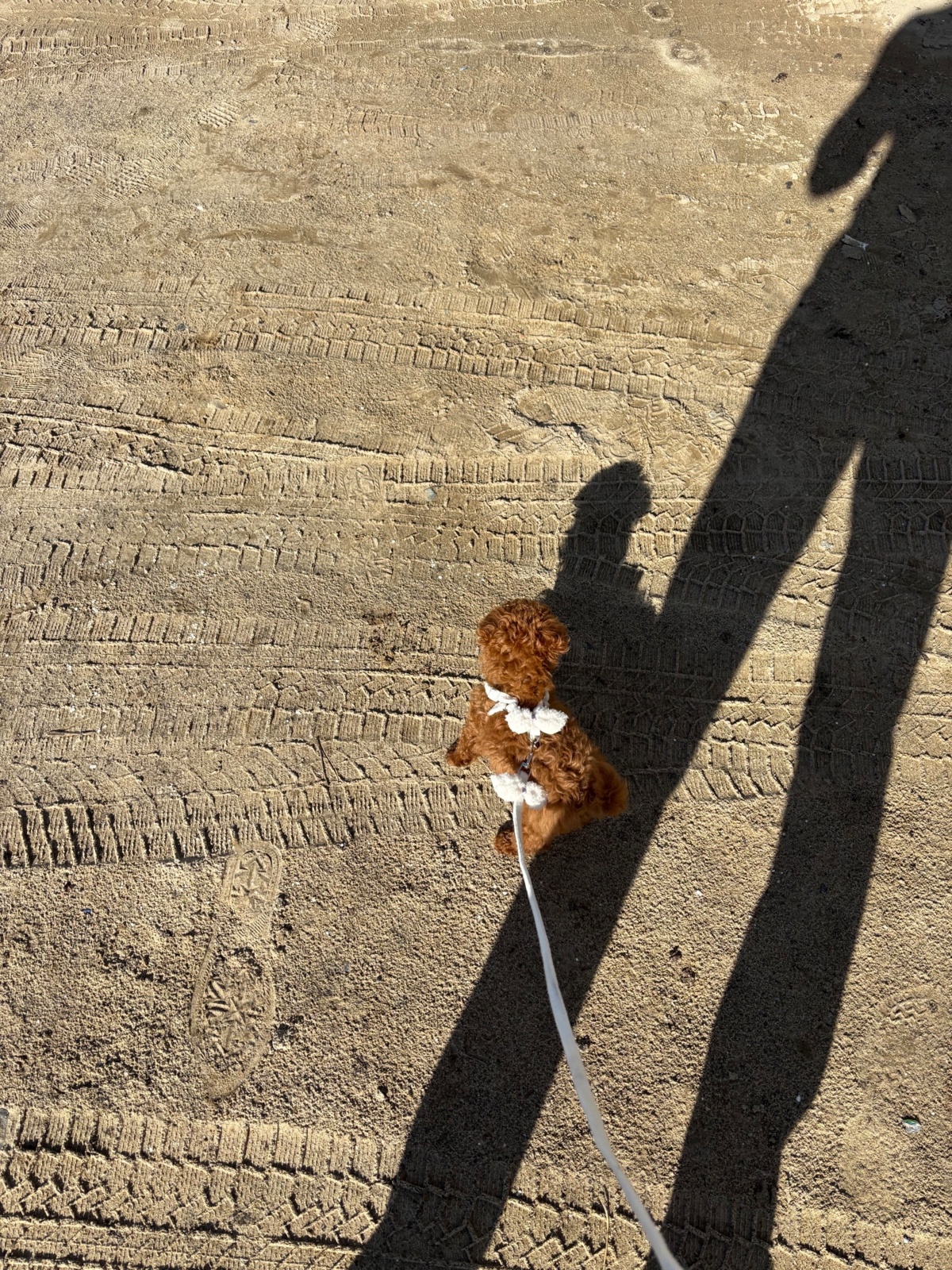 e5366a7f-399f-4f86-a99f-d775e771f117