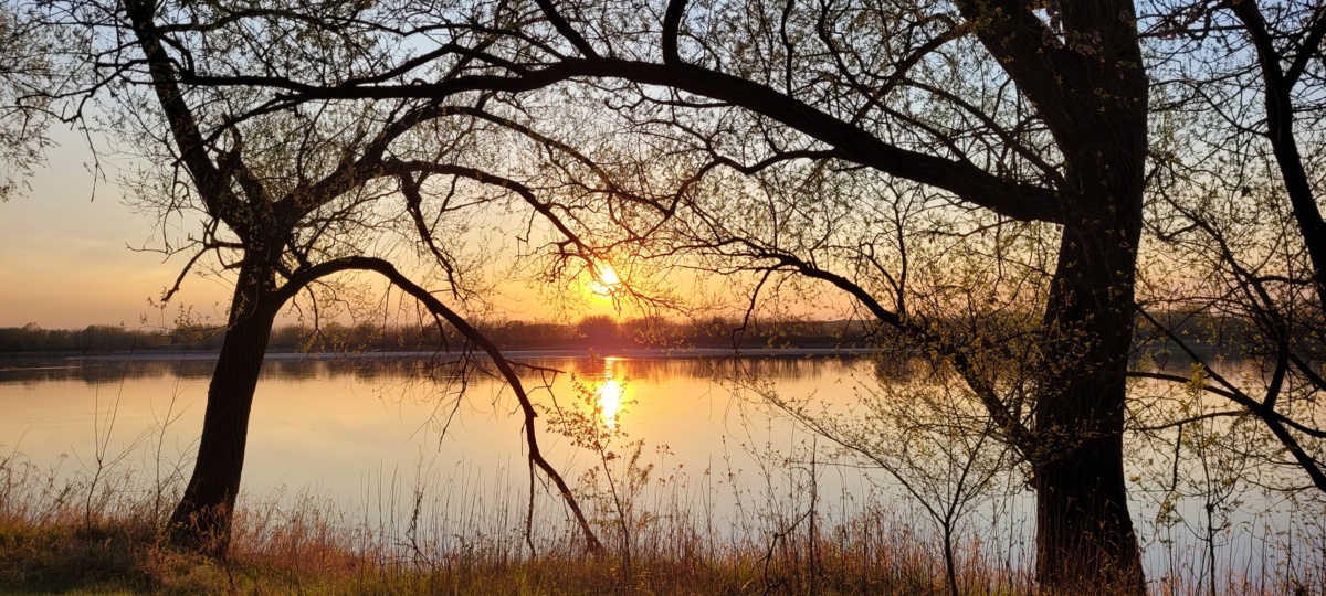 ae592e26-01bc-4712-9efe-a1b26a5a0dbe