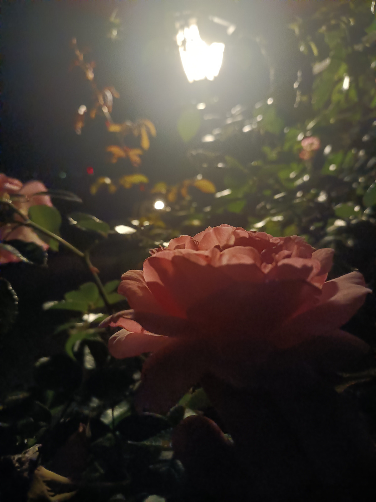 42c2c97e-6d5a-41bd-91ac-4480c5251713