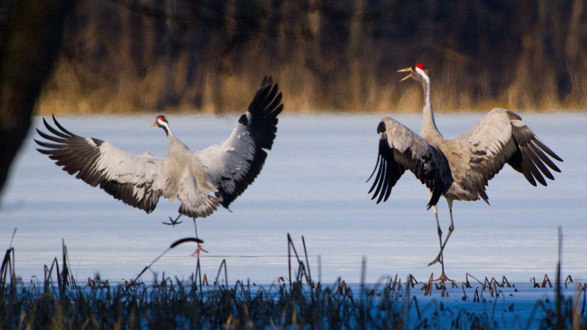 24548c5a-26d9-462a-a3e5-85bbe8207077