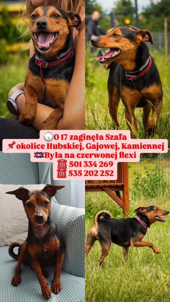 980c3609-f8c5-4b1e-8611-5c54e7ce0bf8