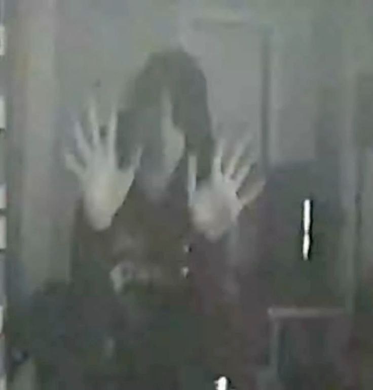 f6463341-e4e4-40a9-bd4c-eae9654e8028