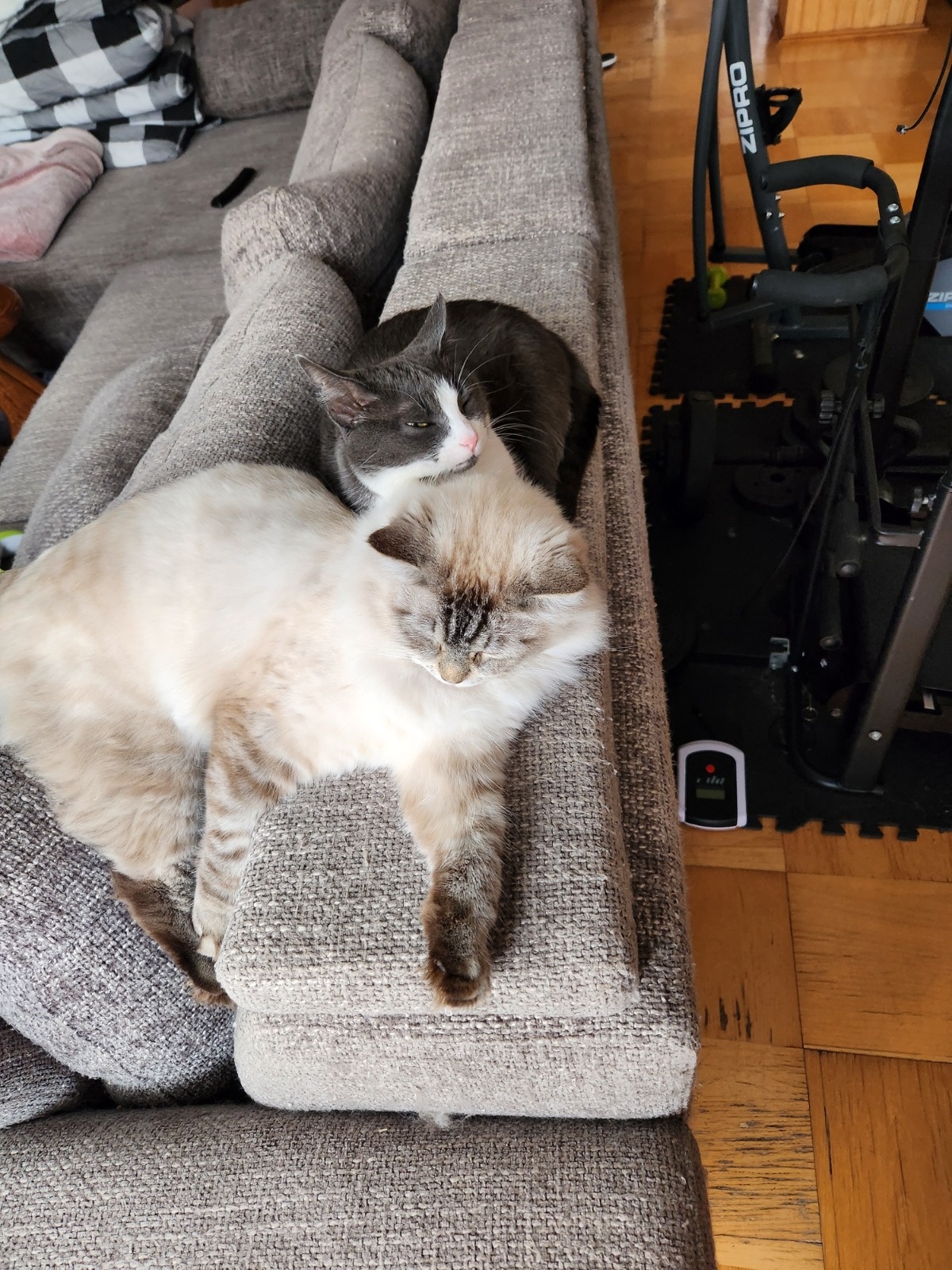 cc0a9067-1d5d-4e79-b3fa-bbaab8a4371c