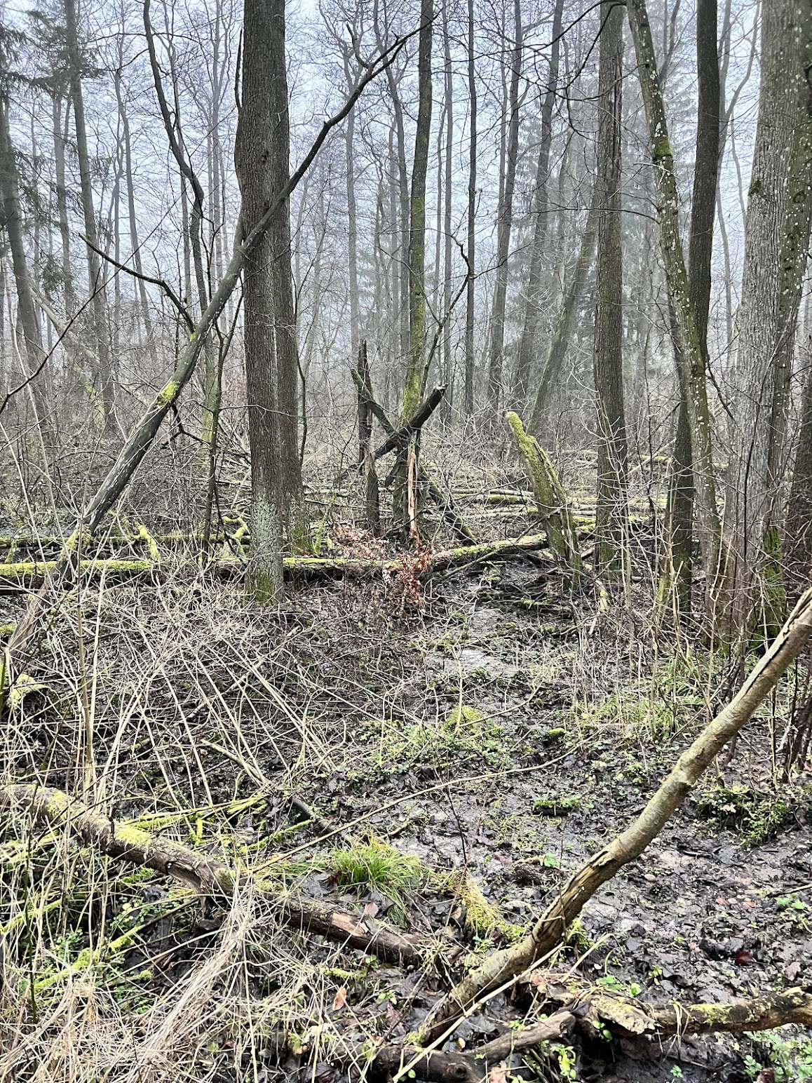 ab5d1af1-da62-4e50-9196-e8afc9018850