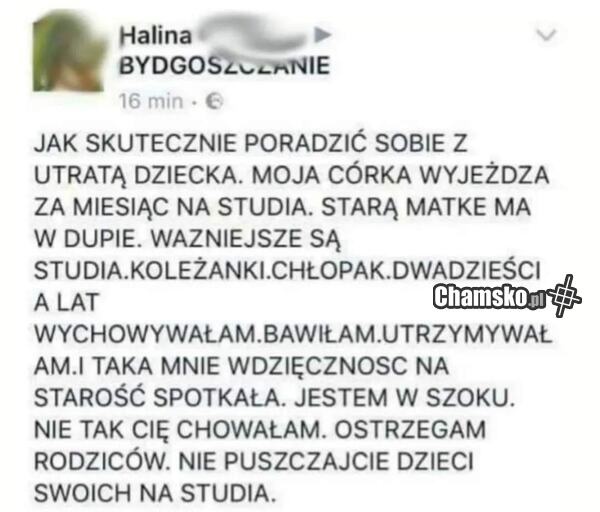 3a656a03-43df-4452-b972-3f2690d75595