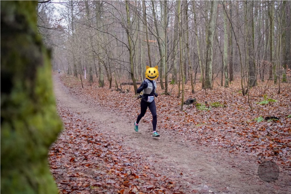 14d72cd4-82f1-454e-a043-a1eada133cf2