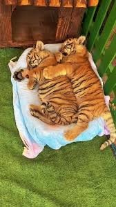 fc76f668-1b55-4611-bd21-a93a117bb86d