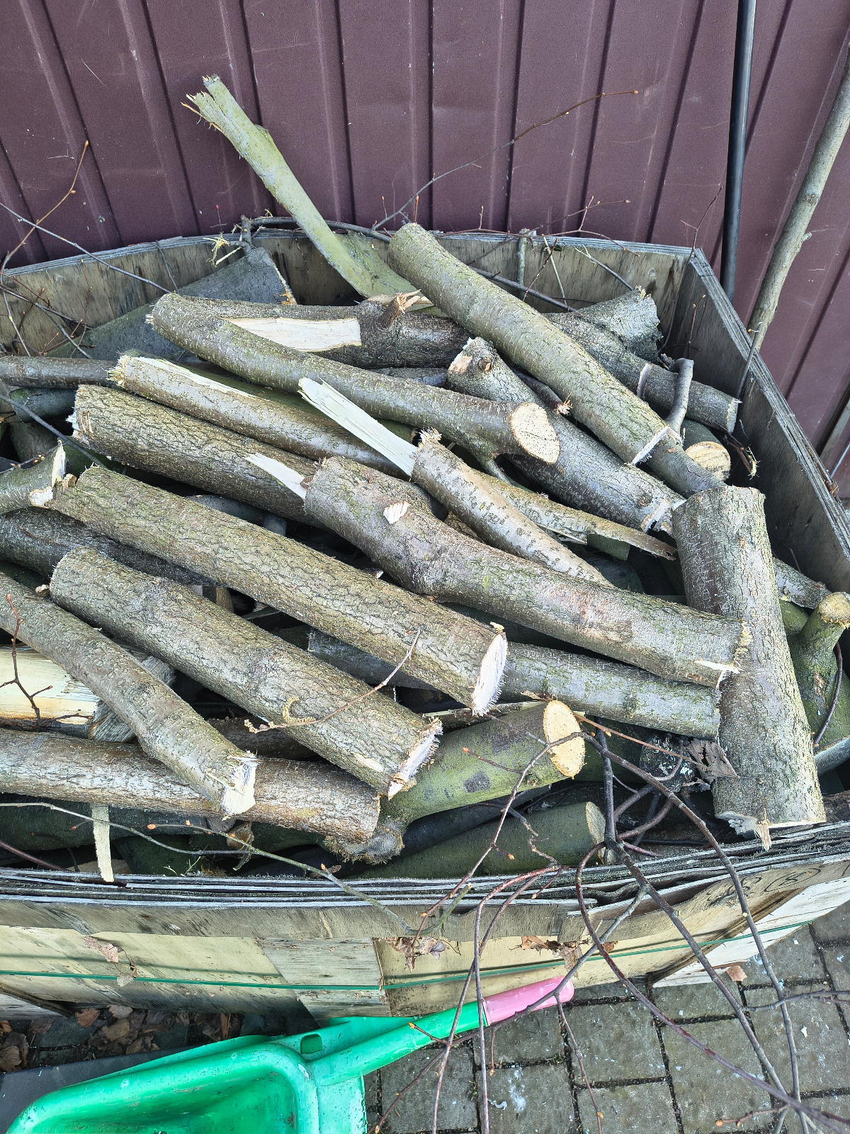 c5a52368-16d4-41a9-8948-1a95adf1bea7