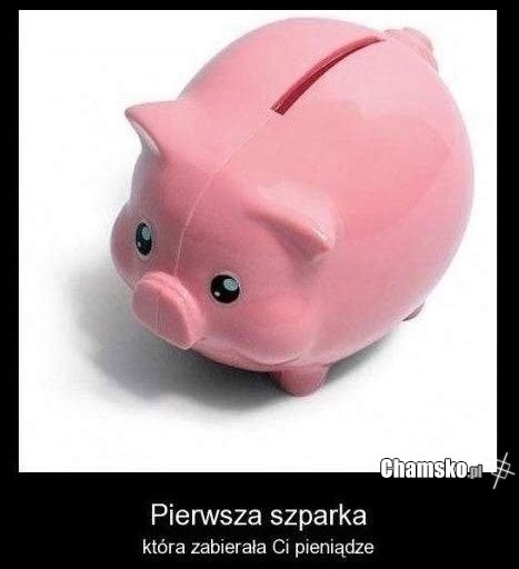 b5f0f7ad-9046-4cca-bad2-96e2b62ac311