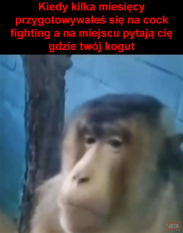 5fd1e41d-222d-4821-980a-415864e8f4f6