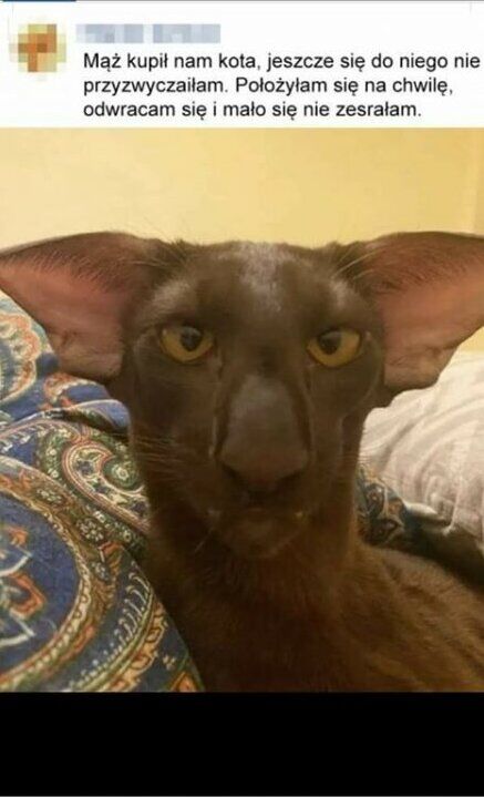 732571a1-4b9d-4212-b8a9-b317a5b600de