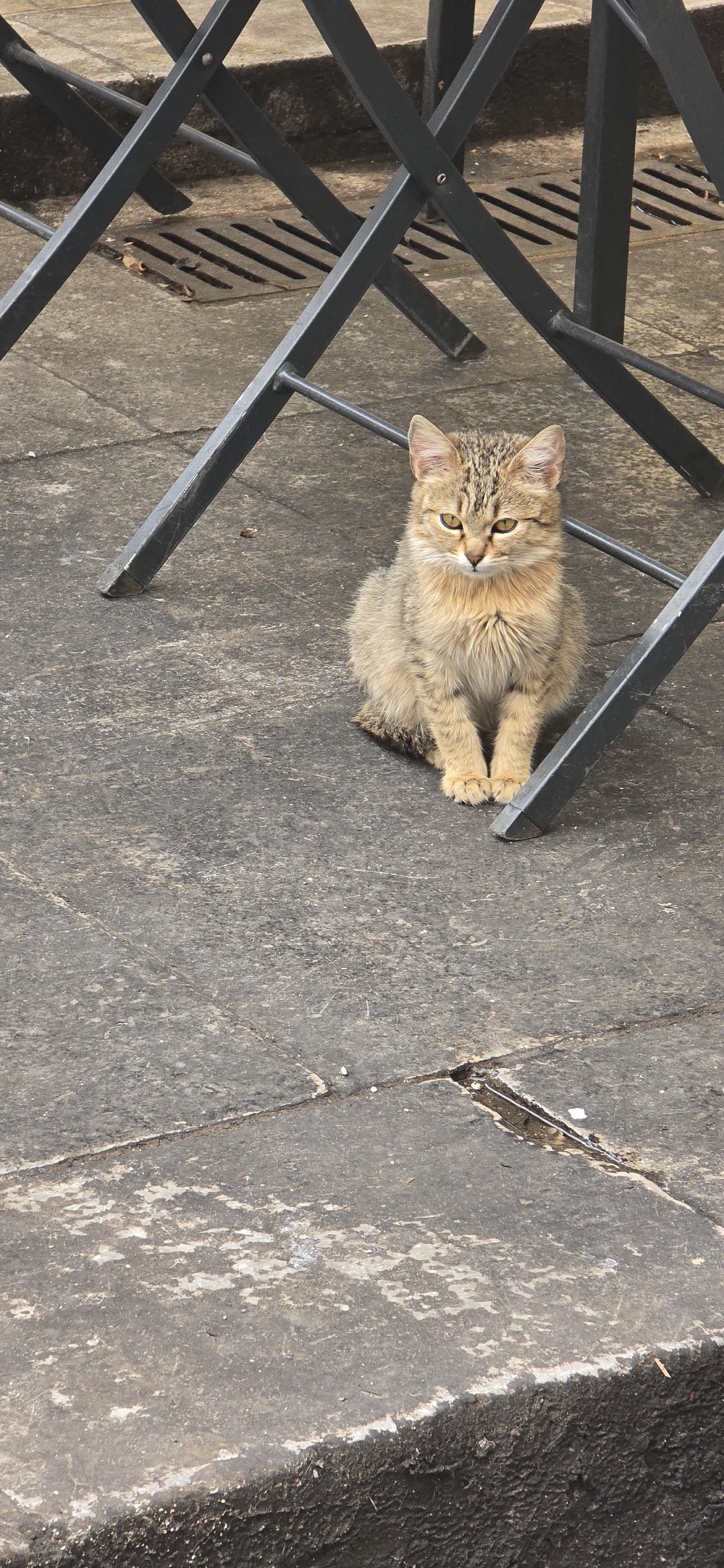 ee082543-4af2-407b-a280-7df9d9b51f03