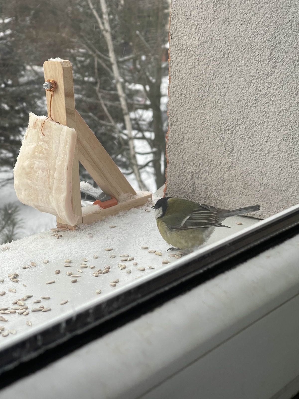 e2fa8bda-3f55-4d9c-8827-cacba1a037f0