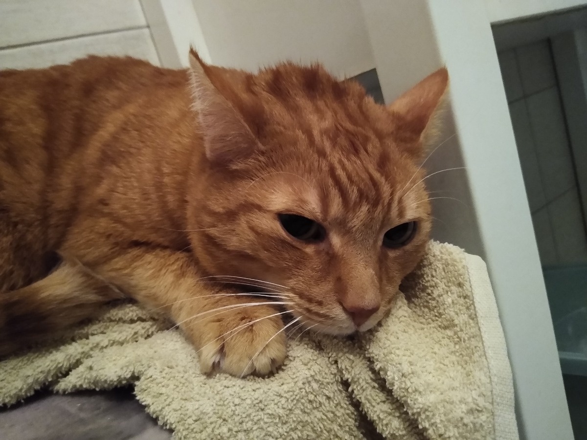 53563532-dfb5-4306-858b-aa66fd508f63