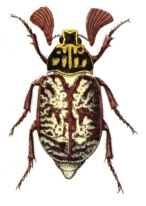 50cd7c27-088e-4879-8e54-06ed77405c77