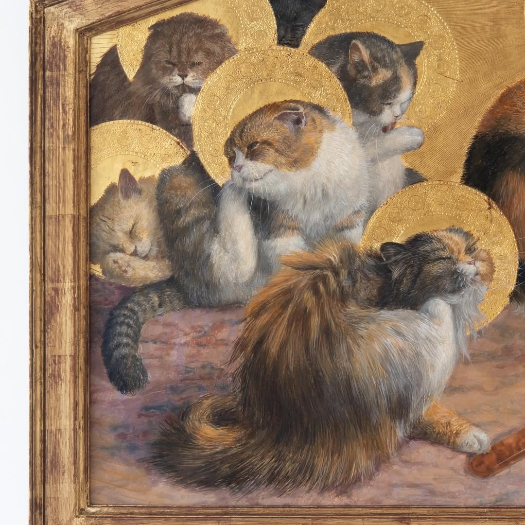 12cf7425-de61-4520-b24f-2792e273a675