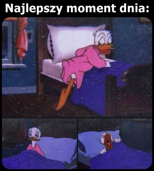 a7f52f32-1e81-4aed-95a4-3b6fffcbdd29