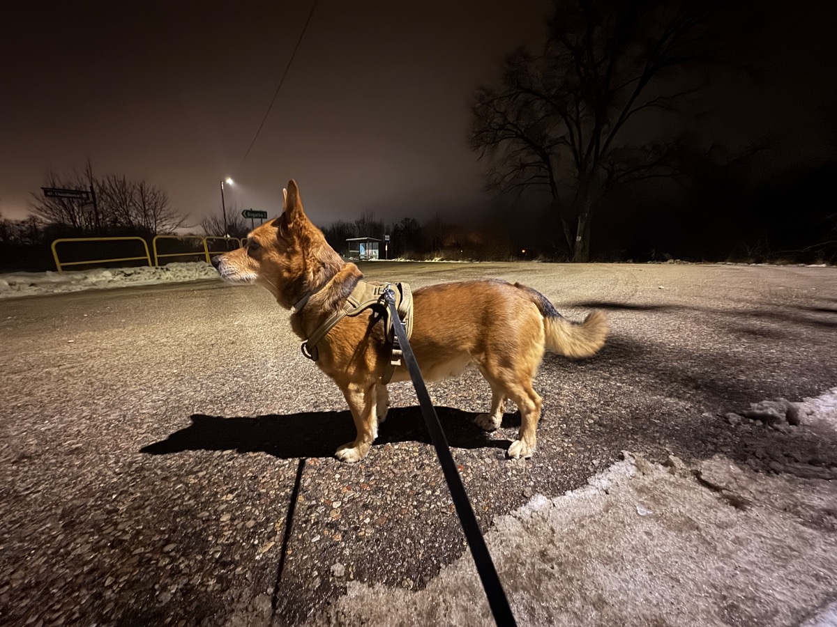 2c3622a9-00c1-43ee-af54-70e7ae253ac7