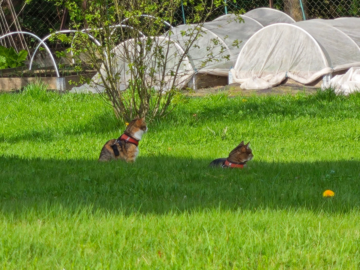 03b12649-3481-4556-8e5c-cad6f3b16e66