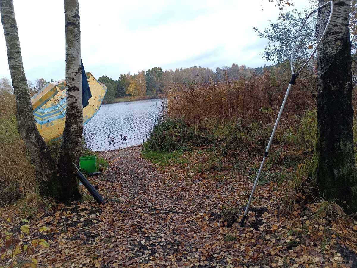 67ccd570-cf12-45d2-ad4f-08e771dd4a48