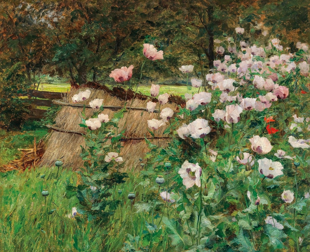 6e65d72f-7730-475e-b23c-4a2febfd8b30