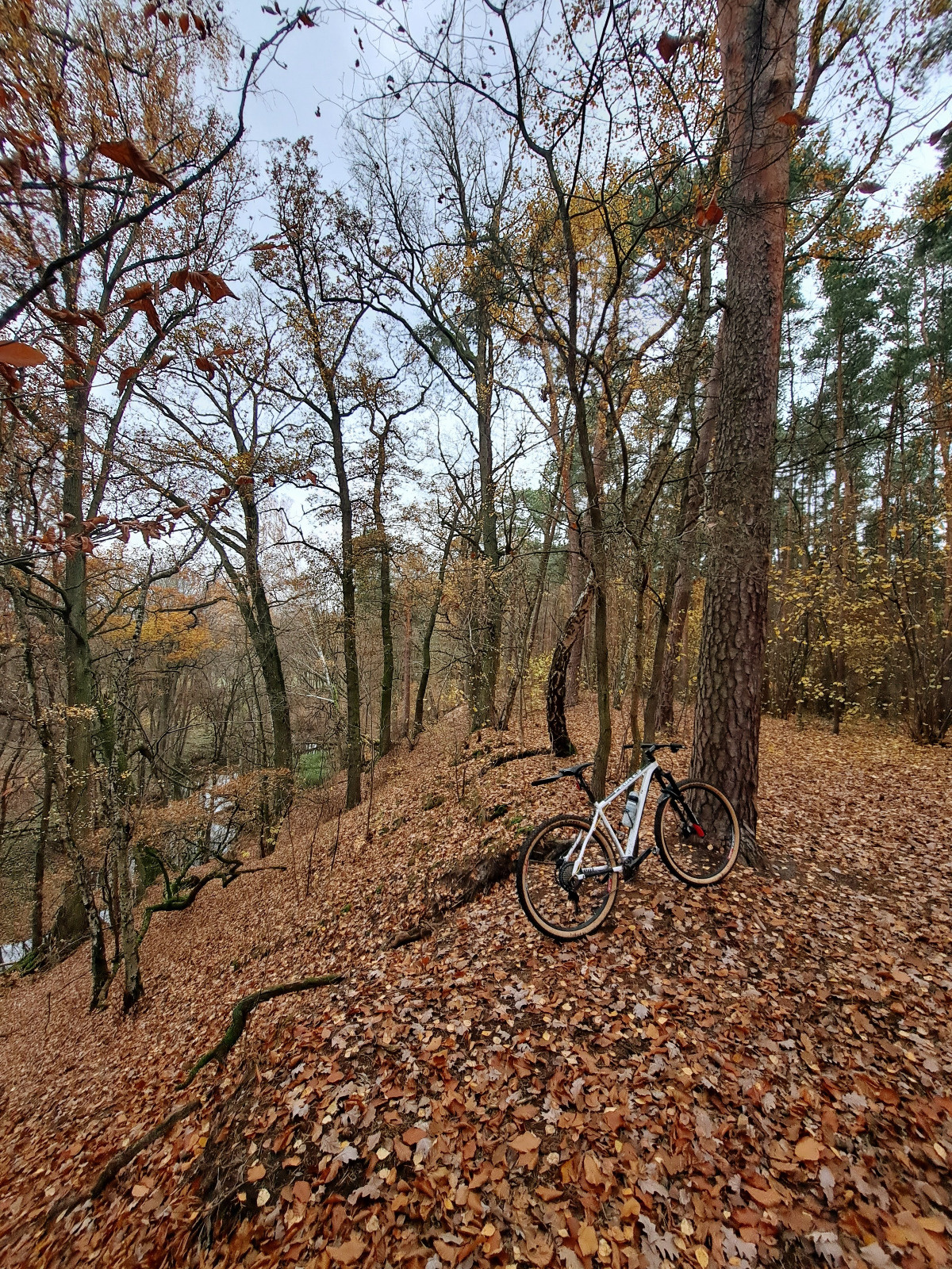 b573338a-b89e-45f6-a0d2-bed34597240a