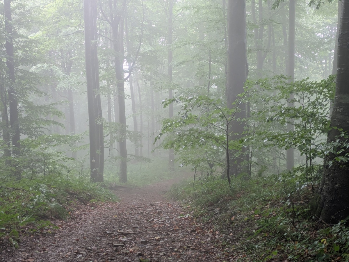 2d040465-e54d-4852-86bb-955653ad7871