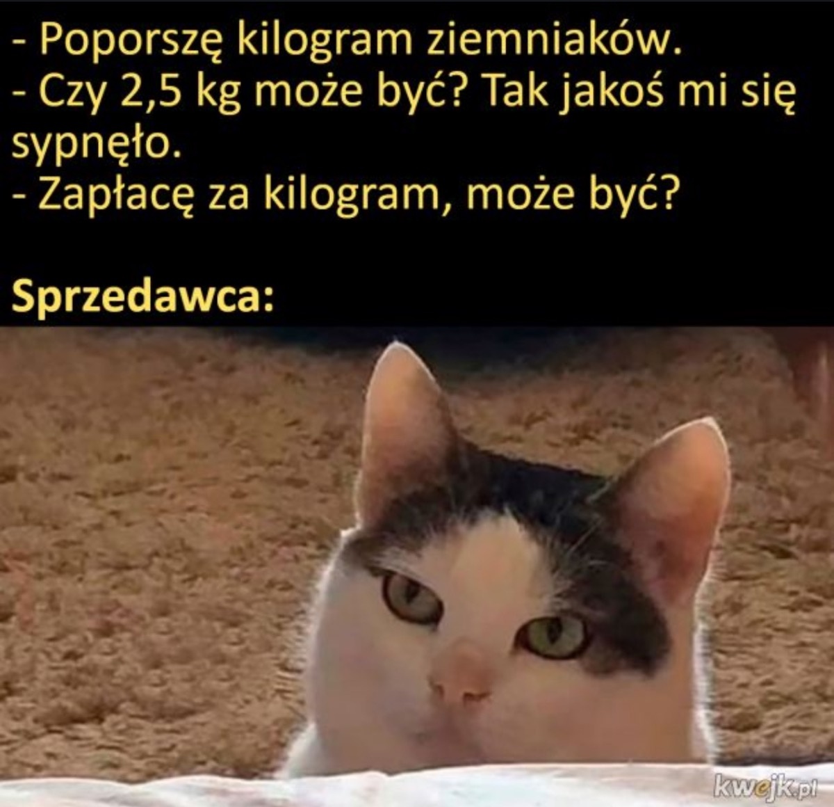 3d5c42a6-97d2-47e2-8f88-1d6f8f7a7a6d