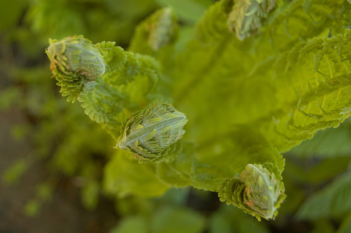 8262975d-3669-4eb1-8cb0-040727a65014