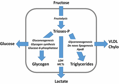 fb7102d9-40d0-4354-a38b-f453878522d4